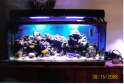 55_gallon.jpg