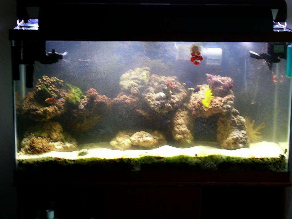 unpdated_tank