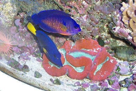 37Picture_012