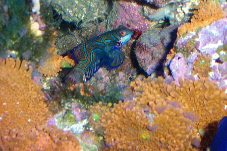 37Picture_013