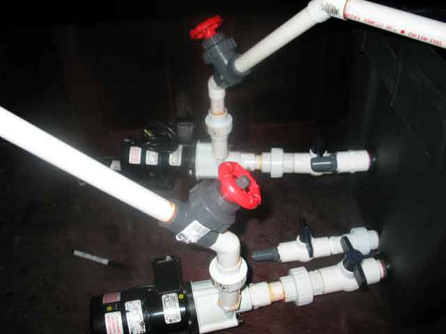 19pumps1.jpg