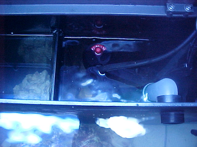 3rd_Compartment_Right_