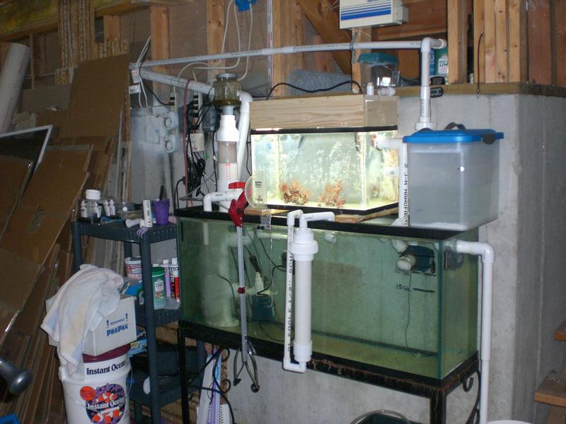 fish_090308_004