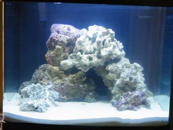 Aquarium_2010_002.jpg