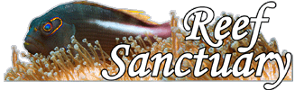 Reef Sanctuary