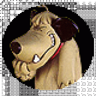 Dingo