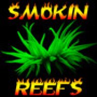 Smokin Reefs
