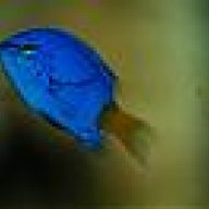 jnohs