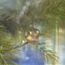 LilGreenPuffer