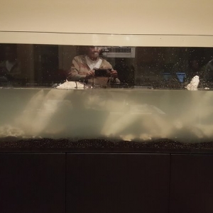 Monique's reefer 525