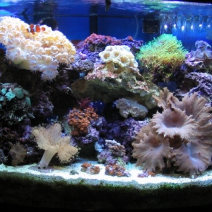 Old display tank