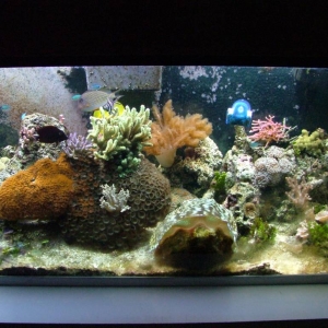 Right Side