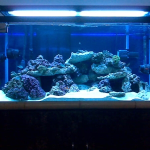 FTS - new aquascaping 2