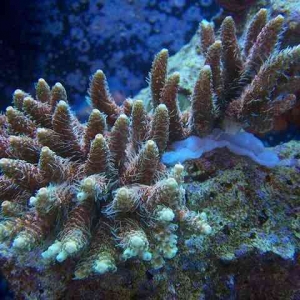 100_4767_640x480_
