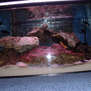Full_Tank_shot_21
