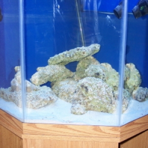 fts_of_rock