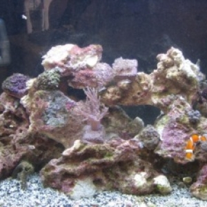 Rescaped