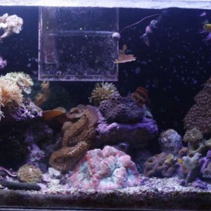 FTS 10.06.08