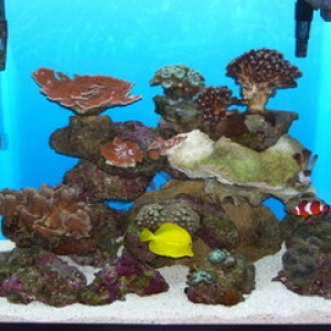 Tank24-15