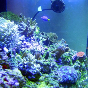 Side view 90 Gallon