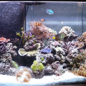 fts_042509