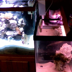 Photo_16
