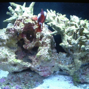 My RSM130 shortly after start up/transfer