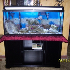 Full_View
