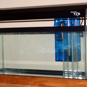 30 Gallon Clown-topia