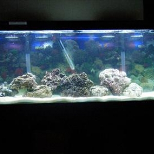 After Aquascaping