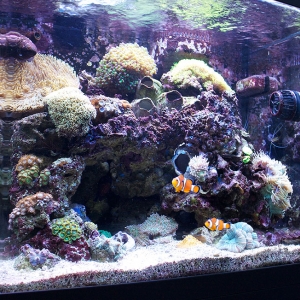 Full Tank 2010_03_28
