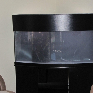 72 Gal Bowfront Reef