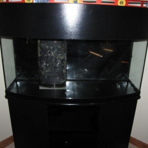 72 Gal Bowfront Reef