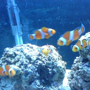 My clowns 2 years ago