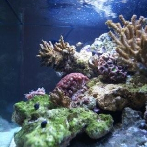 Updated fTS-side