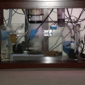 New 90 gallon