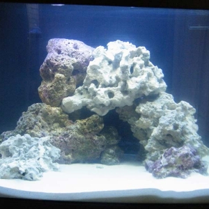 Aquarium_2010_002