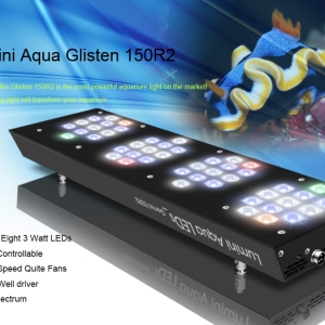 Glisten-3