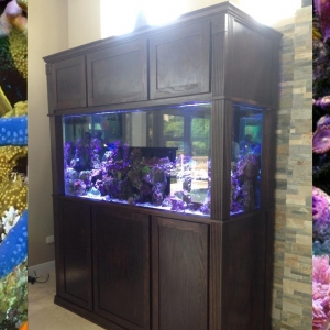 250 Gallon Aqurium