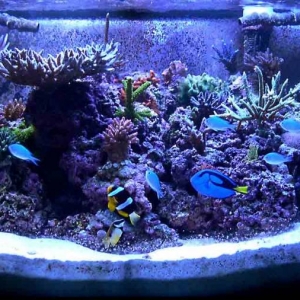 120g SPS 8-22-04