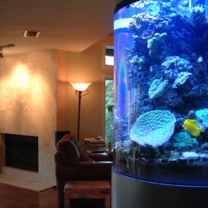 Room_1
