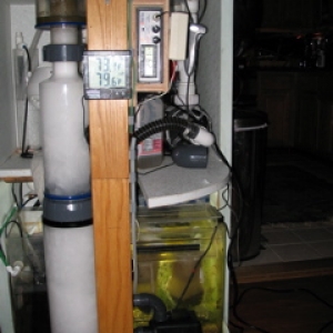 Skimmer_9_1