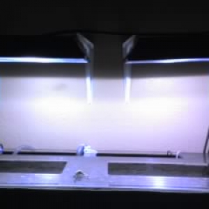 my 250w 14k MH lights