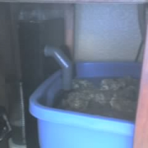 my skimer  and live rock in my cheep sump