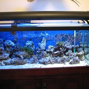 Full Tank Shot on April 28th 2006 of 75 Gallon
