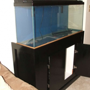 empty tank and stand