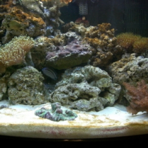 CIMG0266