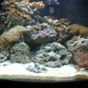 CIMG0279