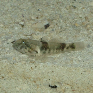 P1010159