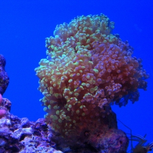 Picture_042